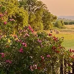 Daire Podere Ainzara