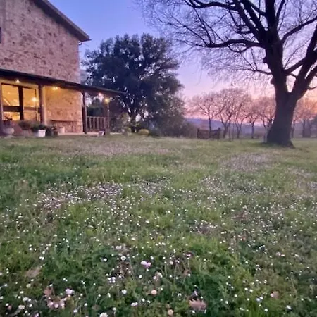 Podere Ainzara