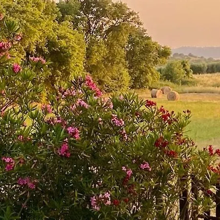 Apartamento Podere Ainzara