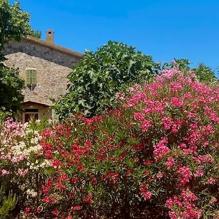Podere Ainzara *